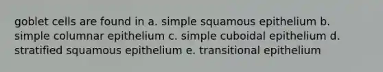 goblet cells are found in a. simple squamous epithelium b. simple columnar epithelium c. simple cuboidal epithelium d. stratified squamous epithelium e. transitional epithelium