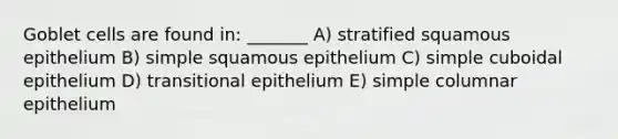 Goblet cells are found in: _______ A) stratified squamous epithelium B) simple squamous epithelium C) simple cuboidal epithelium D) transitional epithelium E) simple columnar epithelium