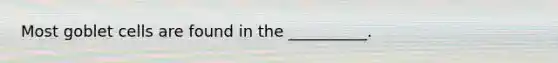 Most goblet cells are found in the __________.