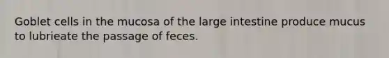 Goblet cells in the mucosa of the large intestine produce mucus to lubrieate the passage of feces.