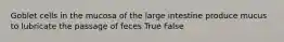 Goblet cells in the mucosa of the large intestine produce mucus to lubricate the passage of feces True False