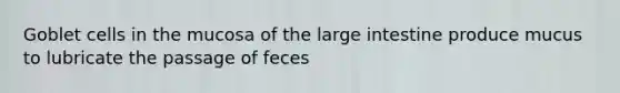 Goblet cells in the mucosa of the large intestine produce mucus to lubricate the passage of feces