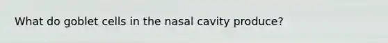 What do goblet cells in the nasal cavity produce?