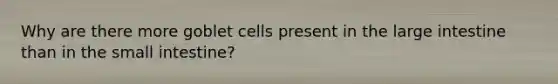 Why are there more goblet cells present in the large intestine than in the small intestine?