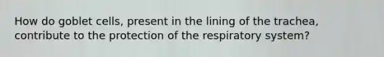 How do goblet cells, present in the lining of the trachea, contribute to the protection of the respiratory system?