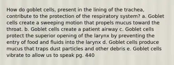 How do goblet cells, present in the lining of the trachea, contribute to the protection of the respiratory system? a. Goblet cells create a sweeping motion that propels mucus toward the throat. b. Goblet cells create a patient airway c. Goblet cells protect the superior opening of the larynx by preventing the entry of food and fluids into the larynx d. Goblet cells produce mucus that traps dust particles and other debris e. Goblet cells vibrate to allow us to speak pg. 440