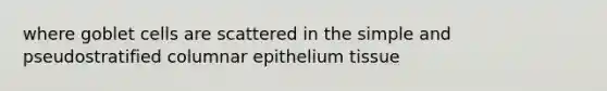 where goblet cells are scattered in the simple and pseudostratified columnar epithelium tissue