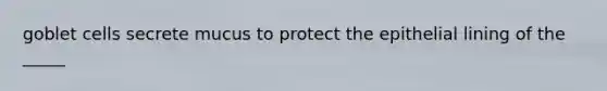 goblet cells secrete mucus to protect the epithelial lining of the _____