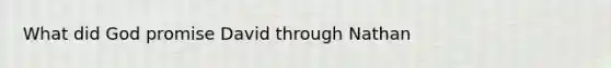 What did God promise David through Nathan