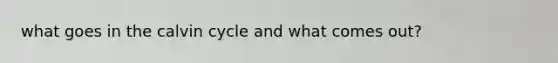 what goes in the calvin cycle and what comes out?