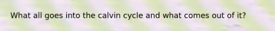 What all goes into the calvin cycle and what comes out of it?