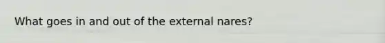 What goes in and out of the external nares?