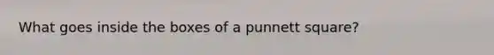 What goes inside the boxes of a punnett square?