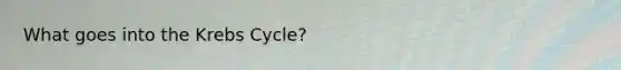 What goes into the Krebs Cycle?