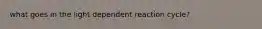 what goes in the light dependent reaction cycle?