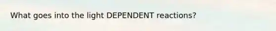 What goes into the light DEPENDENT reactions?