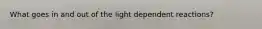 What goes in and out of the light dependent reactions?