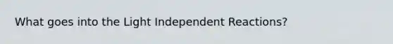 What goes into the Light Independent Reactions?