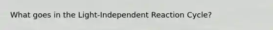 What goes in the Light-Independent Reaction Cycle?