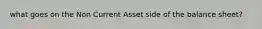 what goes on the Non Current Asset side of the balance sheet?