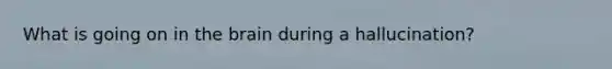 What is going on in the brain during a hallucination?