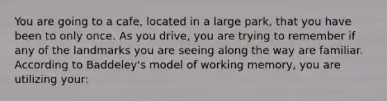 You are going to a cafe, located in a large park, that you have been to only once. As you drive, you are trying to remember if any of the landmarks you are seeing along the way are familiar. According to Baddeley's model of working memory, you are utilizing your: