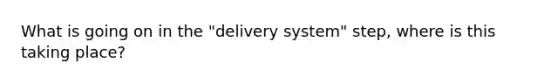 What is going on in the "delivery system" step, where is this taking place?