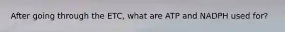 After going through the ETC, what are ATP and NADPH used for?