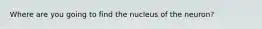 Where are you going to find the nucleus of the neuron?