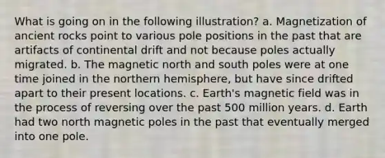 What is going on in the following illustration? a. Magnetization of ancient rocks point to various pole positions in the past that are artifacts of continental drift and not because poles actually migrated. b. The magnetic north and south poles were at one time joined in the northern hemisphere, but have since drifted apart to their present locations. c. Earth's magnetic field was in the process of reversing over the past 500 million years. d. Earth had two north magnetic poles in the past that eventually merged into one pole.