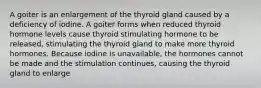 A goiter is an enlargement of the thyroid gland caused by a deficiency of iodine. A goiter forms when reduced thyroid hormone levels cause thyroid stimulating hormone to be released, stimulating the thyroid gland to make more thyroid hormones. Because iodine is unavailable, the hormones cannot be made and the stimulation continues, causing the thyroid gland to enlarge