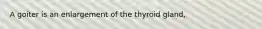 A goiter is an enlargement of the thyroid gland,