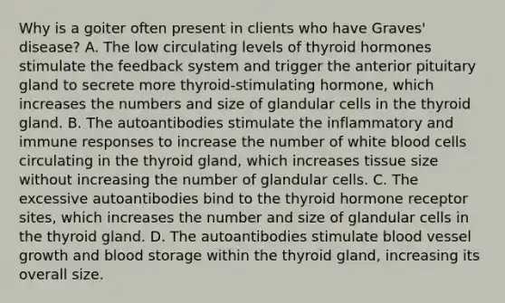 Why is a goiter often present in clients who have Graves' disease? A. The low circulating levels of thyroid hormones stimulate the feedback system and trigger the anterior pituitary gland to secrete more thyroid-stimulating hormone, which increases the numbers and size of glandular cells in the thyroid gland. B. The autoantibodies stimulate the inflammatory and immune responses to increase the number of white blood cells circulating in the thyroid gland, which increases tissue size without increasing the number of glandular cells. C. The excessive autoantibodies bind to the thyroid hormone receptor sites, which increases the number and size of glandular cells in the thyroid gland. D. The autoantibodies stimulate blood vessel growth and blood storage within the thyroid gland, increasing its overall size.