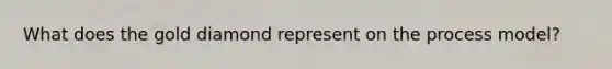 What does the gold diamond represent on the process model?