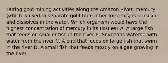 During gold mining activities along the Amazon River, mercury (which is used to separate gold from other minerals) is released and dissolves in the water. Which organism would have the highest concentration of mercury in its tissues? A. A large fish that feeds on smaller fish in the river B. Soybeans watered with water from the river C. A bird that feeds on large fish that swim in the river D. A small fish that feeds mostly on algae growing in the river