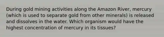 During gold mining activities along the Amazon River, mercury (which is used to separate gold from other minerals) is released and dissolves in the water. Which organism would have the highest concentration of mercury in its tissues?