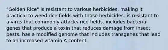 "Golden Rice" is resistant to various herbicides, making it practical to weed rice fields with those herbicides. is resistant to a virus that commonly attacks rice fields. includes bacterial genes that produce a toxin that reduces damage from insect pests. has a modified genome that includes transgenes that lead to an increased vitamin A content.