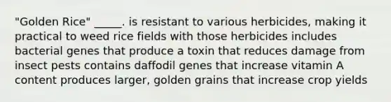 "Golden Rice" _____. is resistant to various herbicides, making it practical to weed rice fields with those herbicides includes bacterial genes that produce a toxin that reduces damage from insect pests contains daffodil genes that increase vitamin A content produces larger, golden grains that increase crop yields