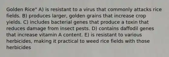 Golden Rice" A) is resistant to a virus that commonly attacks rice fields. B) produces larger, golden grains that increase crop yields. C) includes bacterial genes that produce a toxin that reduces damage from insect pests. D) contains daffodil genes that increase vitamin A content. E) is resistant to various herbicides, making it practical to weed rice fields with those herbicides