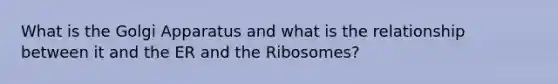 What is the Golgi Apparatus and what is the relationship between it and the ER and the Ribosomes?