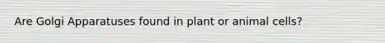 Are Golgi Apparatuses found in plant or animal cells?