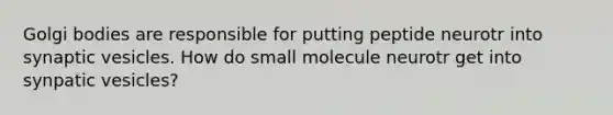 Golgi bodies are responsible for putting peptide neurotr into synaptic vesicles. How do small molecule neurotr get into synpatic vesicles?