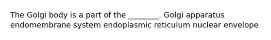 The Golgi body is a part of the ________. Golgi apparatus endomembrane system endoplasmic reticulum nuclear envelope