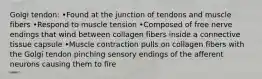 Golgi tendon: •Found at the junction of tendons and muscle fibers •Respond to muscle tension •Composed of free nerve endings that wind between collagen fibers inside a connective tissue capsule •Muscle contraction pulls on collagen fibers with the Golgi tendon pinching sensory endings of the afferent neurons causing them to fire