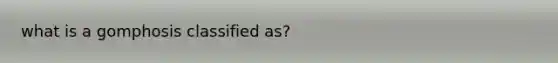 what is a gomphosis classified as?