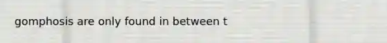 gomphosis are only found in between t