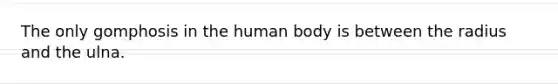 The only gomphosis in the human body is between the radius and the ulna.