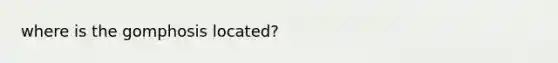 where is the gomphosis located?