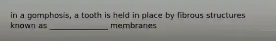 in a gomphosis, a tooth is held in place by fibrous structures known as _______________ membranes