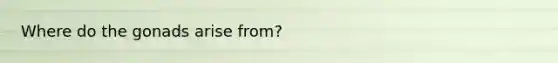 Where do the gonads arise from?